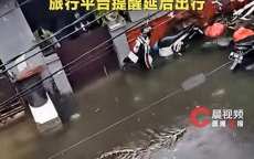 巴厘岛暴雨奇观：近5米长巨蟒惊游居民区