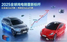 “中国汽车品牌强势崛起，全球销量前十占三席！”