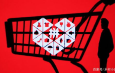 拼多多免费送货进村试点，助力乡村振兴新篇章