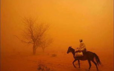 遮天蔽日！撒哈拉沙漠公路遭遇蝗群侵袭，交通受阻危机四伏