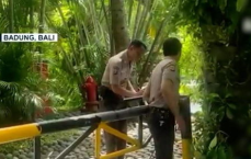 巴厘岛情侣遭遇“脏水病”健康危机，揭秘旅行安全警示