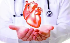 心脏离体三天仍跳动：医学奇迹背后的科学探索