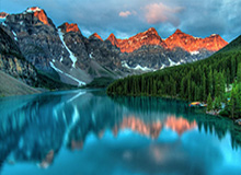 丁禹兮：爱情与财富的完美融合——钱在哪，爱就在哪